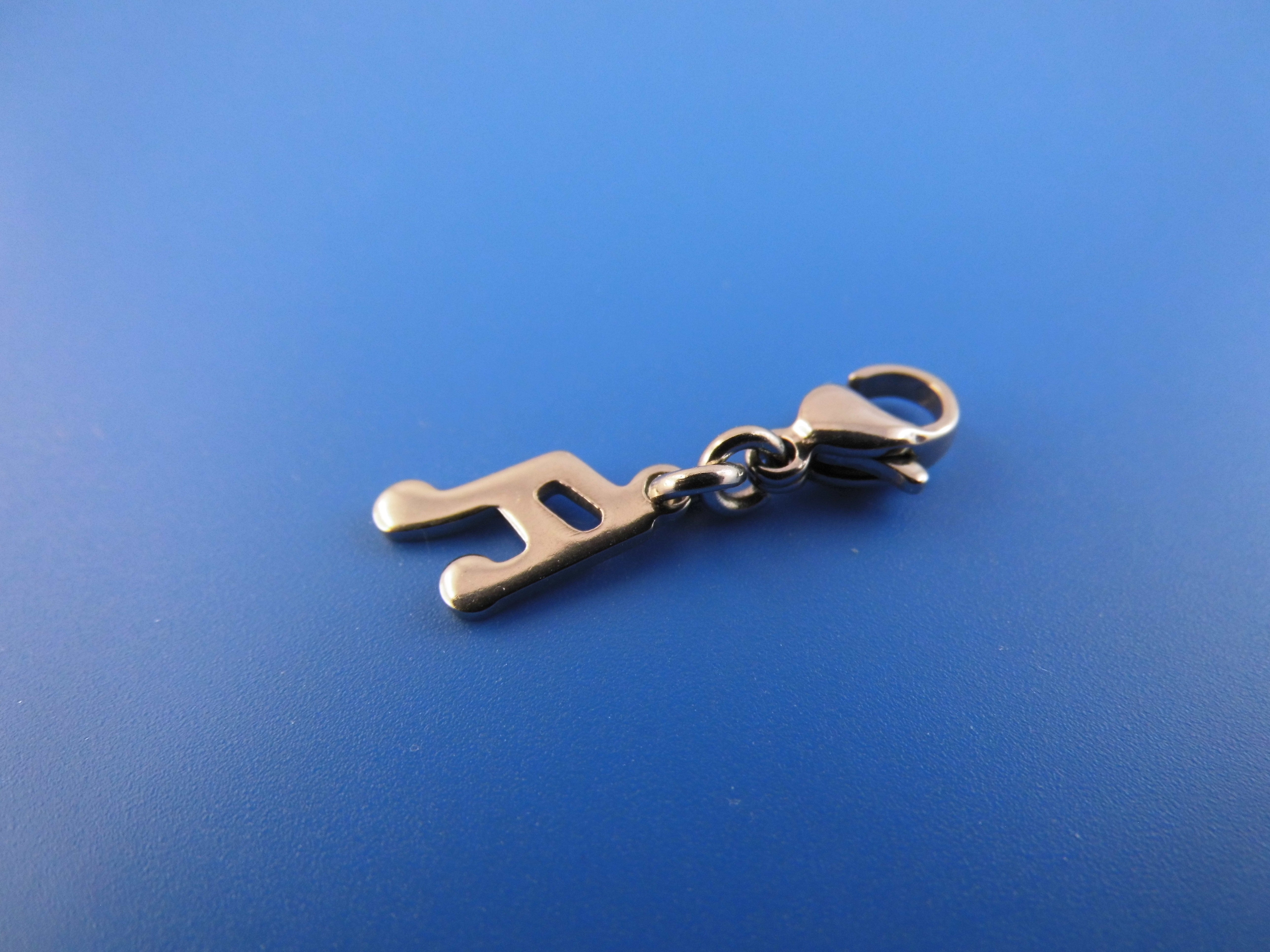 Edelstahl Anhänger Charm verschiedene Motive